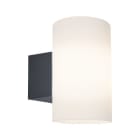 PAULMANN - Outdoor 230V Wandleuchte Tube IP54 E27 max 15W Anthrazit Kunststoff