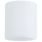PAULMANN - DecoSystems Schirm Zyli max.50W Glas weiss