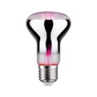 PAULMANN - LED Fil Plant R63 E27 6,5W 230V