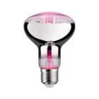 PAULMANN - LED Fil Plant R80 E27 6,5W 230V