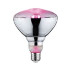 PAULMANN - LED Fil Plant PAR38 E27 6,5W 230V