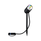PAULMANN - Outdoor Plug & Shine color Spot Pike Set RGBW 4,5W 24V 40° Anthrazit ZigBee