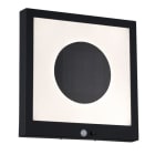 PAULMANN - Outdoor Solar Panel Taija IP44 3000K 120lm Bewegungsmelder Anthrazit