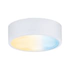 PAULMANN - Clever Connect Spot Medal 2,3W 2700- 6500K tun White 12V Weiß matt/Kunststoff
