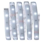 PAULMANN - MaxLED 250 Basisset 1,5m Daylight IP44 Cover 6500K 6W 230/24V Silber Kst