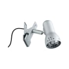 PAULMANN - Assistent Gryps Klemmspot max.1x40W E14 Eisen gebürstet 230V Metall/Kunststoff