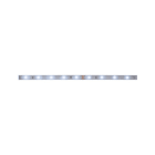 PAULMANN - MaxLED 250 Stripe 1m Daylight IP20 6500K 4W 230/24V Silber