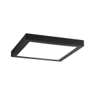 PAULMANN - WallCeiling Abia LED-Panel 300x300mm 22W Schwarz matt 230V Kunststoff
