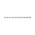 PAULMANN - MaxLED 250 Stripe 1m Warmweiss IP20 2700K 4W 230/24V Silber