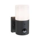 PAULMANN - Outdoor 230V Wandleuchte Tubs PIR IP44 E27 Metall grau