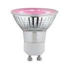 PAULMANN - LED Plant GU10 3,5W 230V