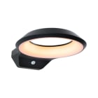 PAULMANN - Outdoor 230V Wandleuchte Anela PIR Insect Friendly anthrazit