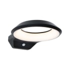 PAULMANN - Outdoor 230V Wandleuchte Anela PIR anthrazit