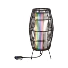 PAULMANN - Outdoor Plug & Shine Basket 40 RGBW ZB IP44