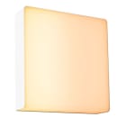 PAULMANN - Outdoor 230V Wandleuchte Azalena Insect friendly ZB white
