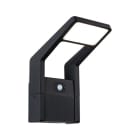 PAULMANN - Outdoor 230V Wandleuchte Juntea PIR anthrazit