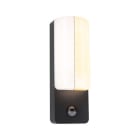 PAULMANN - Outdoor 230V Wand Bonnie PIR Insect 2200-3000K IP44 anthrazit
