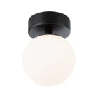PAULMANN - WD Gove IP44 Deckenl LED 5W Satin/Schwarz matt Glas/Metall