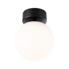 PAULMANN - WD Gove IP44 Deckenl LED 9W Satin/Schwarz matt Glas/Metall