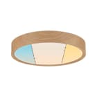 PAULMANN - WD Tega IP44 Deckenl WhiteSwitch LED 22,5W Holz hell 230V Kst