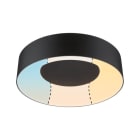 PAULMANN - WD Casca IP44 Deckenl WhiteSwitch LED 1x16W 300mm Schwarz 230V Metall/Kst