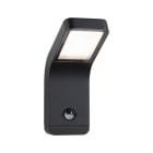 PAULMANN - Outdoor 230V Wandleuchte Kulma PIR IP44 3000K 7,5W anthrazit