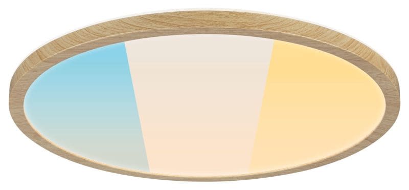 PAULMANN - Panel Atria Shine IP44 24W WhiteSelect 400mm 230V Eiche Kunststoff