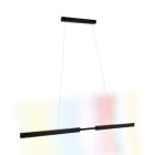 PAULMANN - Aptare ZB Pendelleuchte RGBW TunW LED 32W Schwarz 230V Metall