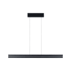PAULMANN - Raiko Pendelleuchte dim LED 19+6W TunW+RGBW Schwarz 230V Metall