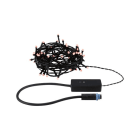 PAULMANN - Outdoor Plug & Shine Lichterkette Yuna 5m RGB IP44