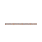 PAULMANN - MaxLED 1000 Stripe 1m Warmweiß IP20