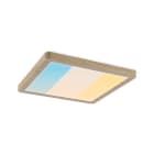 PAULMANN - Panel Atria Shine 9,5W WSel 190x190mm Hz