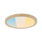 PAULMANN - Panel Atria Shine 9,5W WSel 190mm Hz
