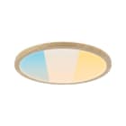 PAULMANN - Panel Atria Shine 18W WSel 300mm Hz
