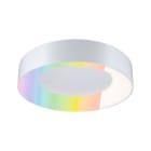 PAULMANN - Casca IP44 ZB LED RGBW TunW 20W Ws Met/K