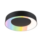 PAULMANN - Casca IP44 ZB LED RGBW TunW 20W Sz Met
