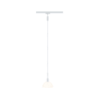 PAULMANN - URail Pend Sarrasani max20W E14 Signalws