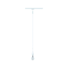 PAULMANN - URail DecoSys Pend max20W E14 Signalw ma