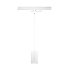 PAULMANN - ProRail3 Pendel Kratos 28W 4000K 60° ws