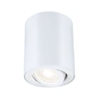 PAULMANN - ABL Spot Esvik IP44 max 1x6,5W 110mm GU10 Weiß 230V Aluminium