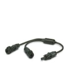 PHOENIX CONTACT - Y-Kabel (+/--) 6mm2