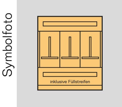 ERA - UP-Verteiler Kärnten inkl. PW