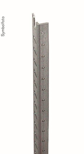 ERA - Frontplattenschiene, H=300mm