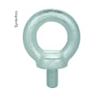 ERA - Ringschraube mit Bund und Rille M12x20.5