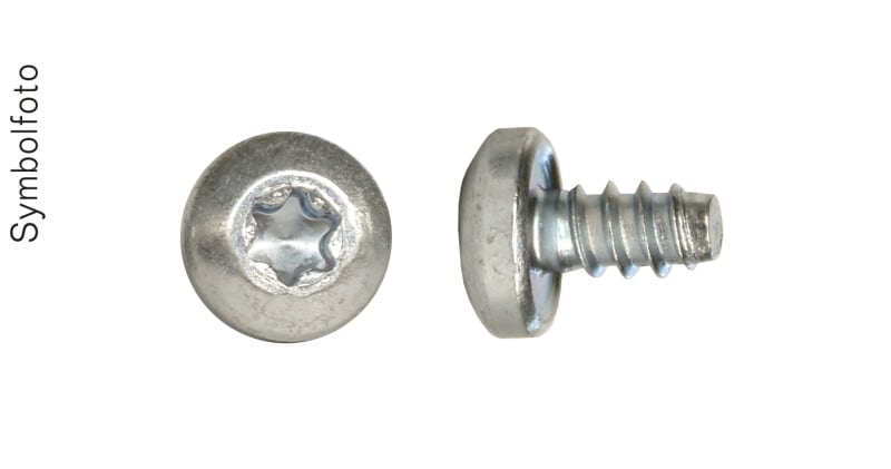 ERA - Blechschraube 4,2x8 Linsenkopf, ohne Spitze (PAK = 100 ST)