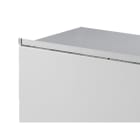 RITTAL - Staubschutzleiste, Inklusive Klarsicht-Schutzfolie, für VX, TS, VX SE, L: 600 mm