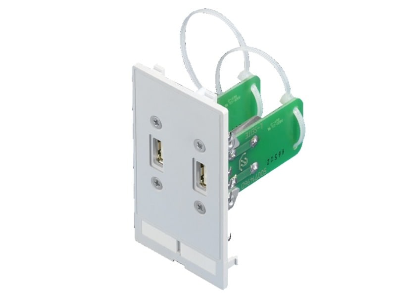 RITTAL - Schnittstellen-Einsätze, 2xUSB A