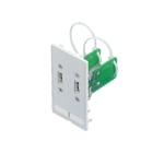 RITTAL - Schnittstellen-Einsätze, 2xUSB A