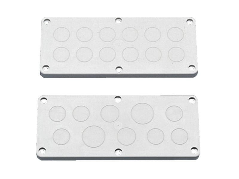 RITTAL - Kunststoff-Kabelflanschplatten, mit PG Vorprägung, PG 13,5, Größe 2, PAK = 5 ST