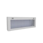 RITTAL - KX Bus-Gehäuse, BHT: 800x300x155 mm, mit Montageplatte, mit Vorreiber